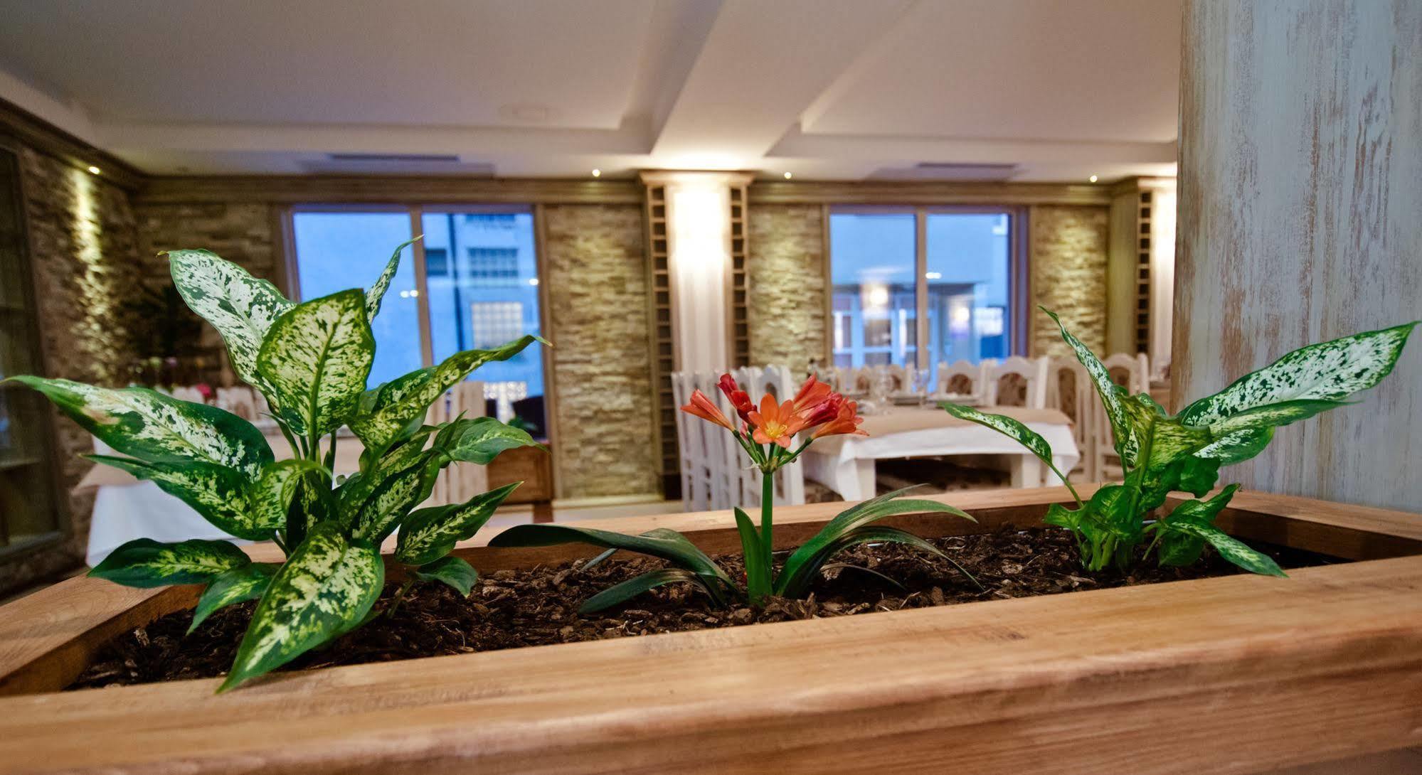 Wine Hotel Cesarica Međugorje Extérieur photo