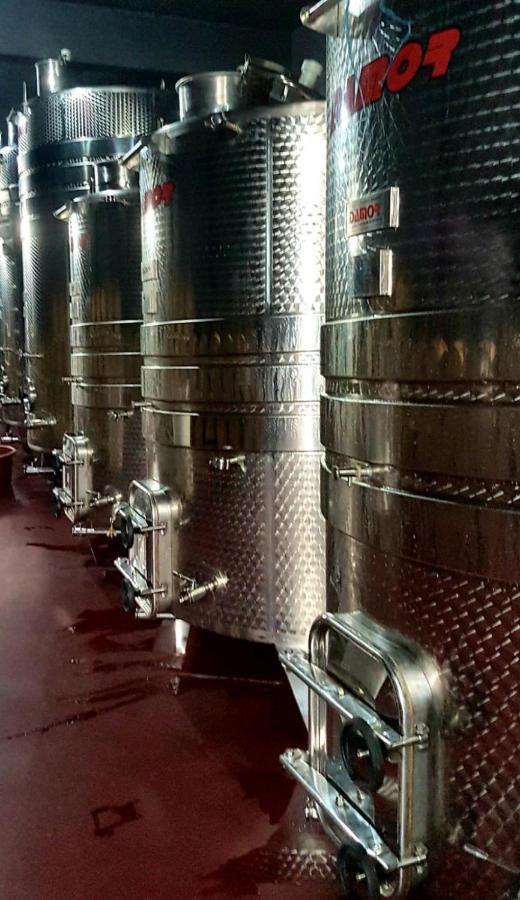 Wine Hotel Cesarica Međugorje Extérieur photo